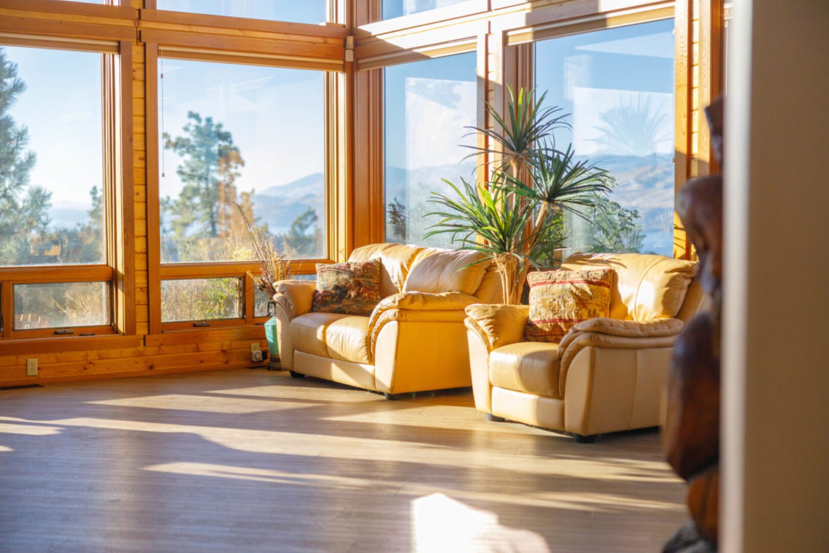Sunlit living room with cozy sofas