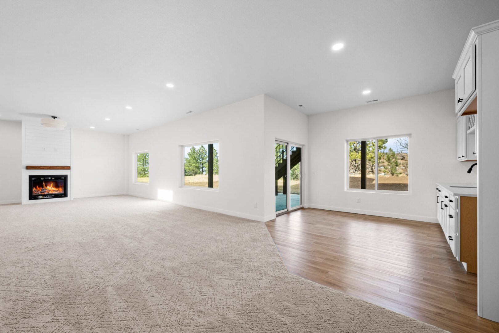 Bright, spacious empty room with carpet and hardwood flooring.