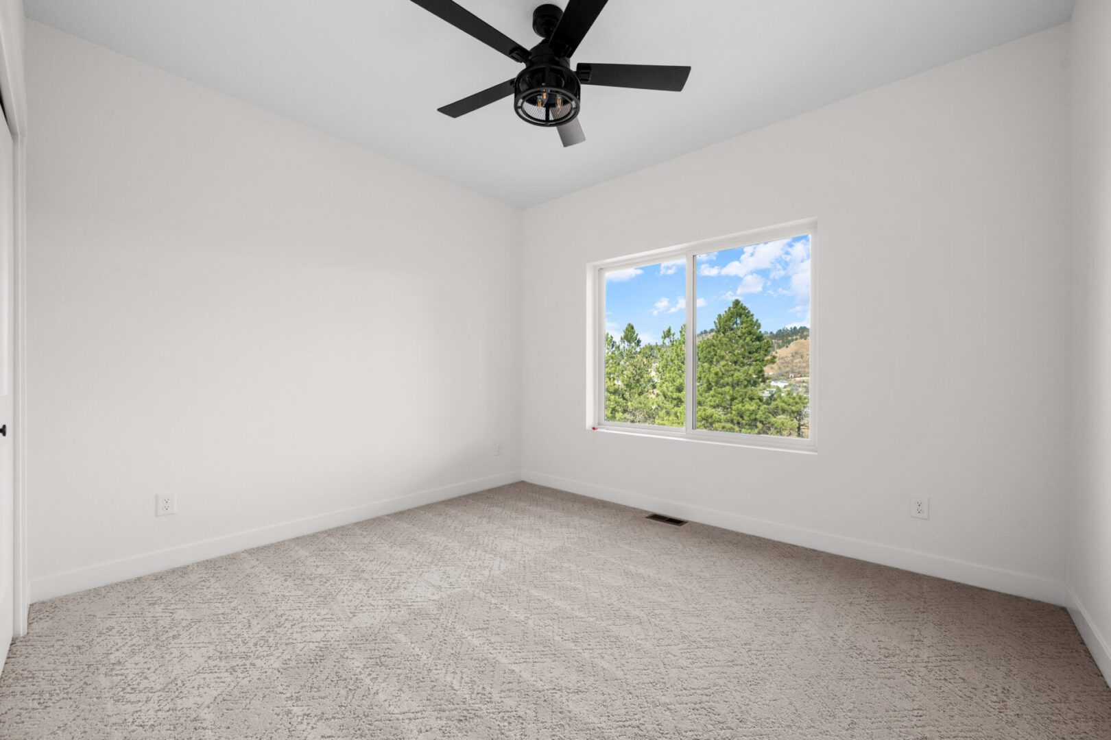 Empty bright room with carpet and ceiling fan.